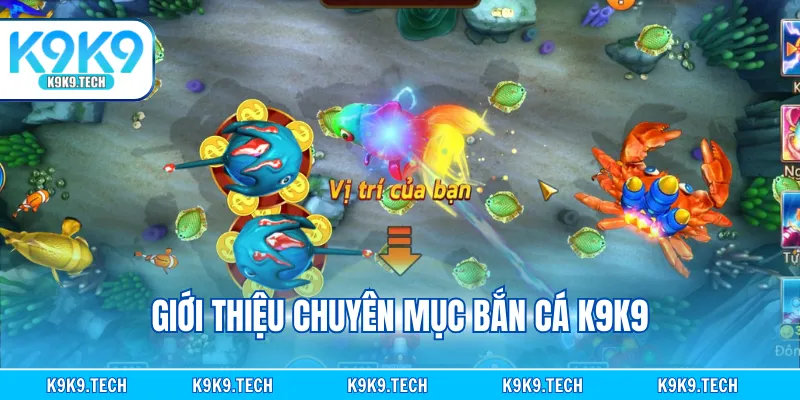 Giới thiệu chuyên mục bắn cá K9K9