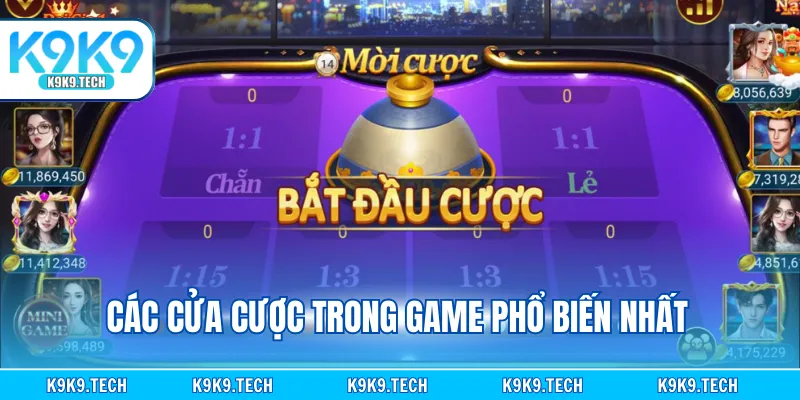 Các cửa cược trong game phổ biến nhất