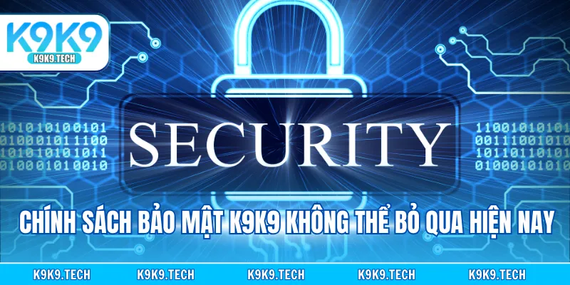Chính sách bảo mật K9K9 không thể bỏ qua hiện nay