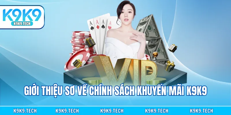 Giới thiệu sơ về chính sách khuyến mãi K9K9