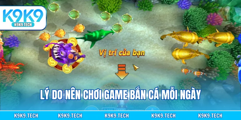 Lý do nên chơi game bắn cá mỗi ngày
